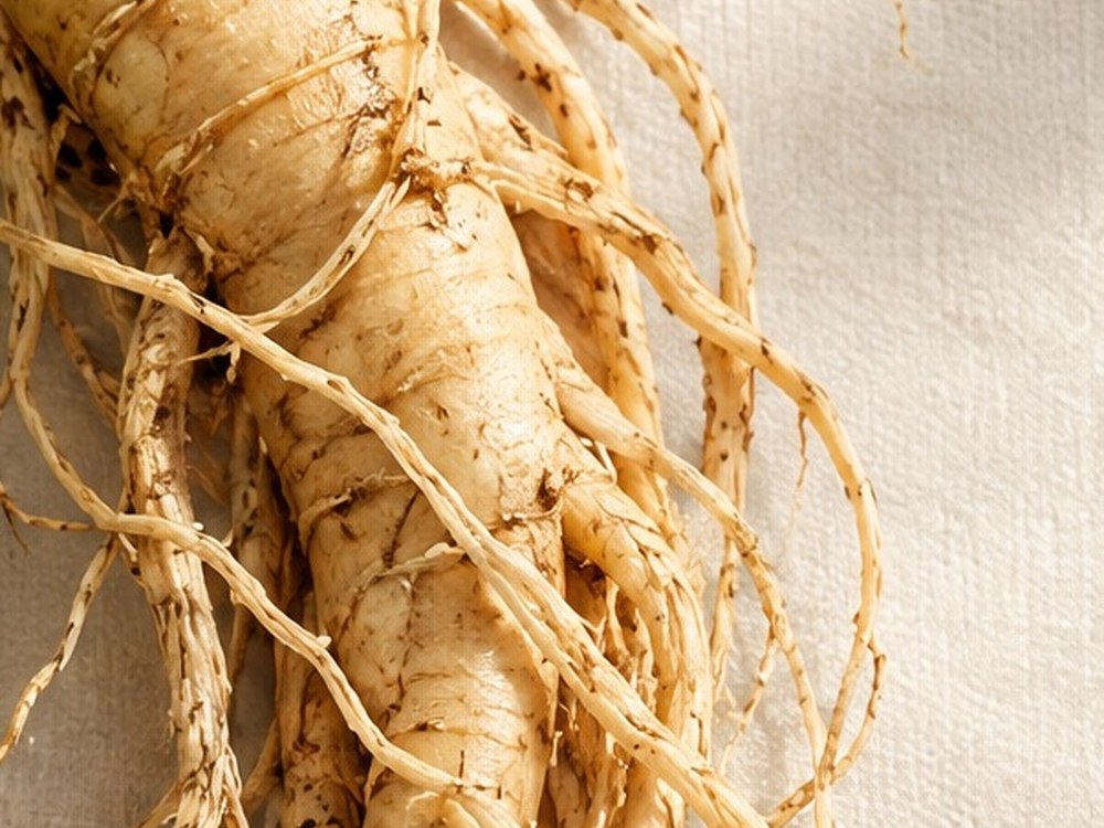 Whole Korean ginseng root