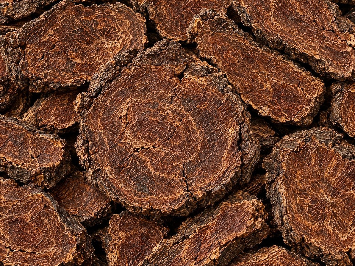 Dried he shou wu (Polygonum multiflorum) root slices
